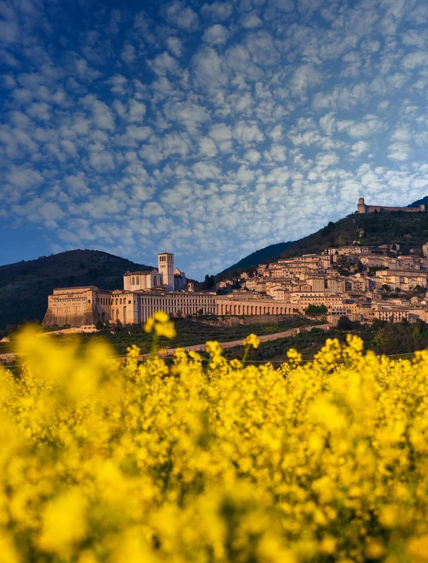 Appartamento Locazione Turistica L'Antica Sorgente פניקאלה מראה חיצוני תמונה